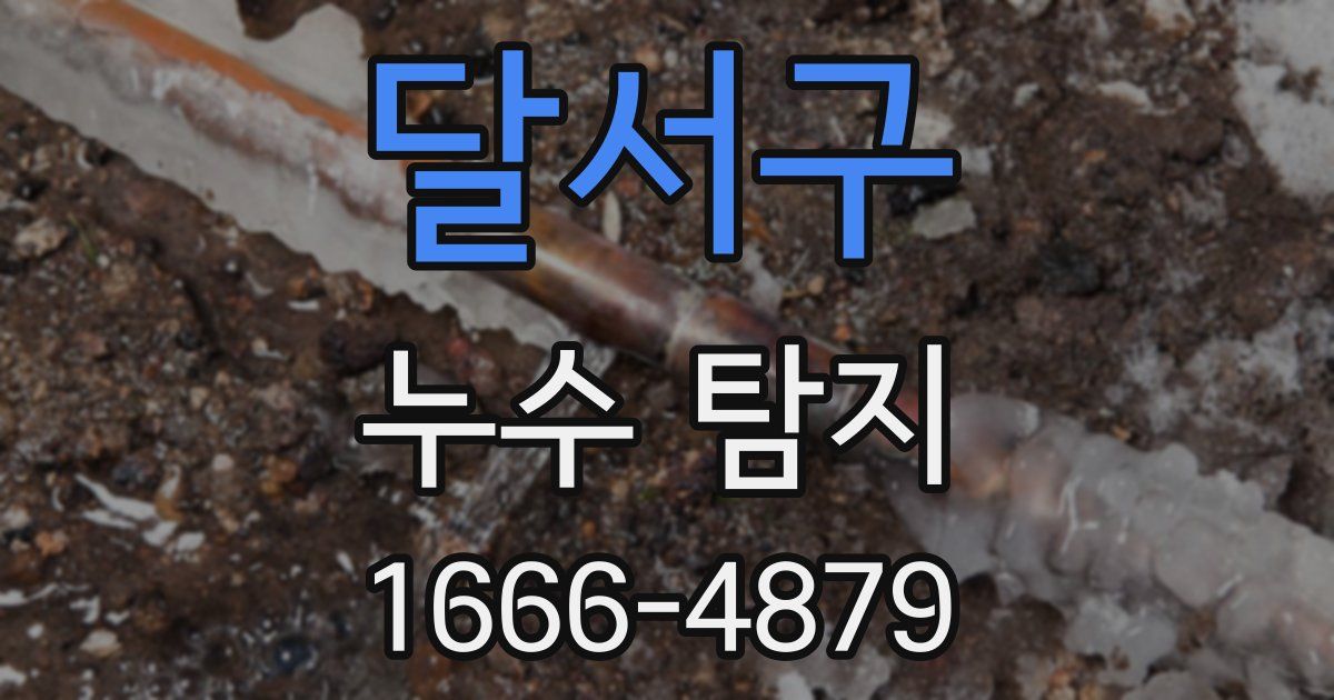 달서구 누수 탐지