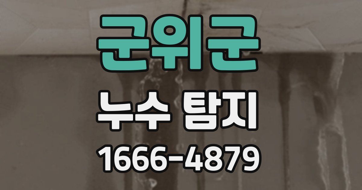군위군 누수 탐지