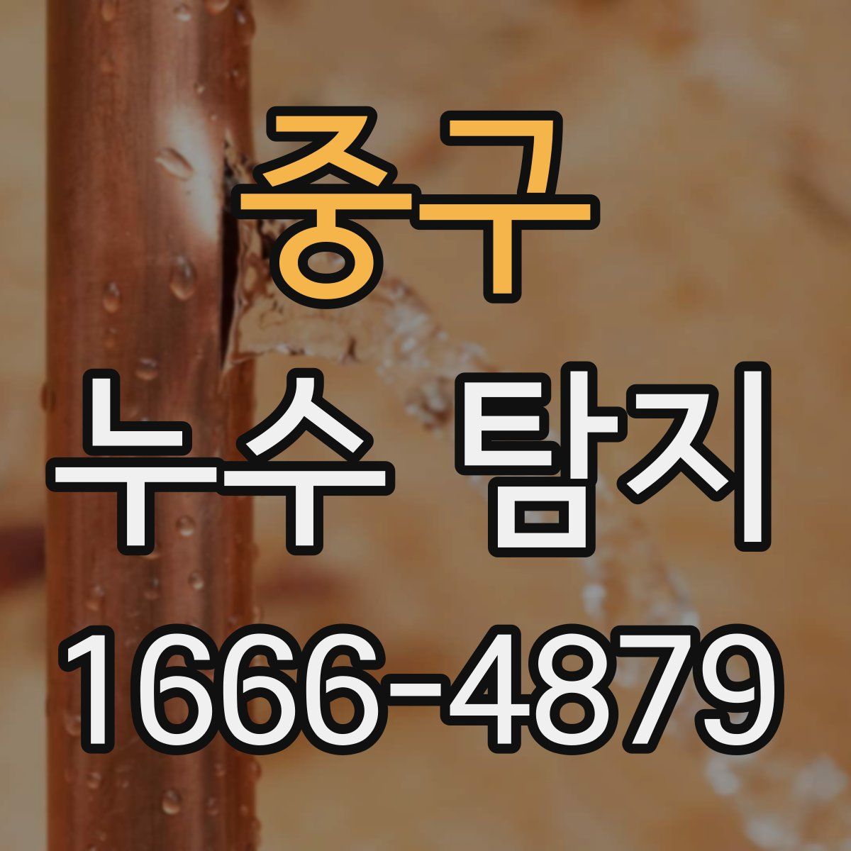 중구 누수 탐지