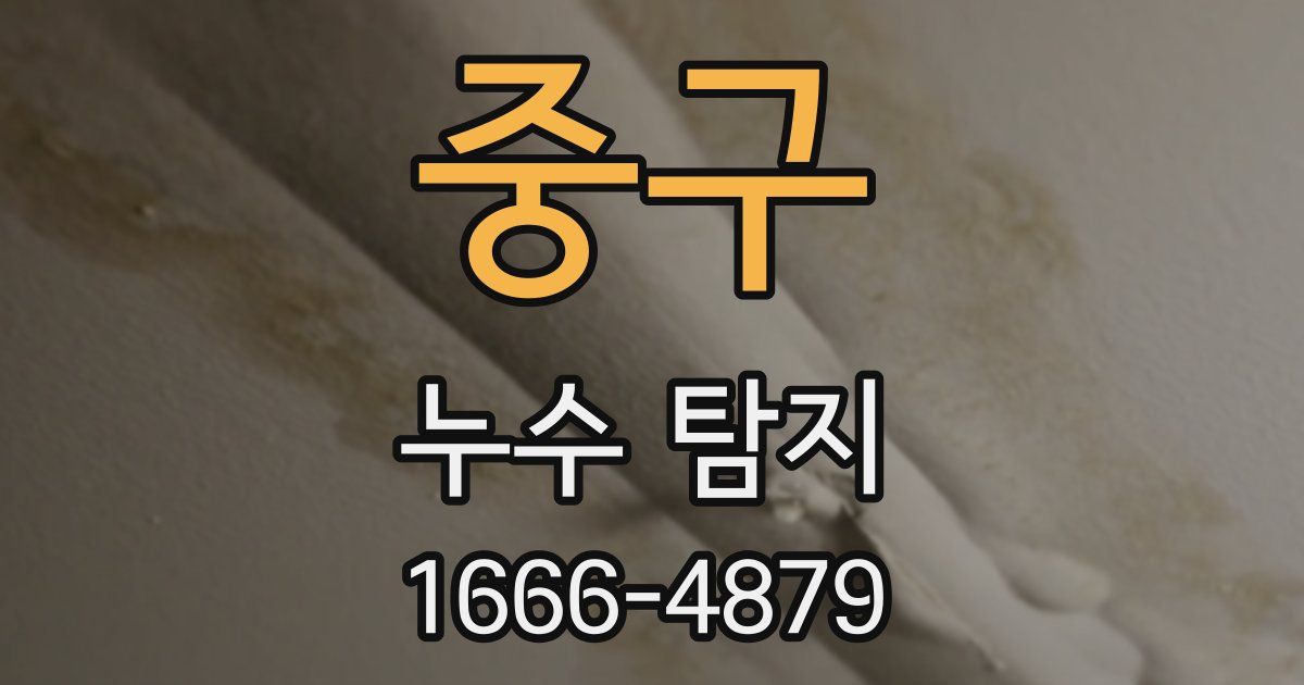 중구 누수 탐지