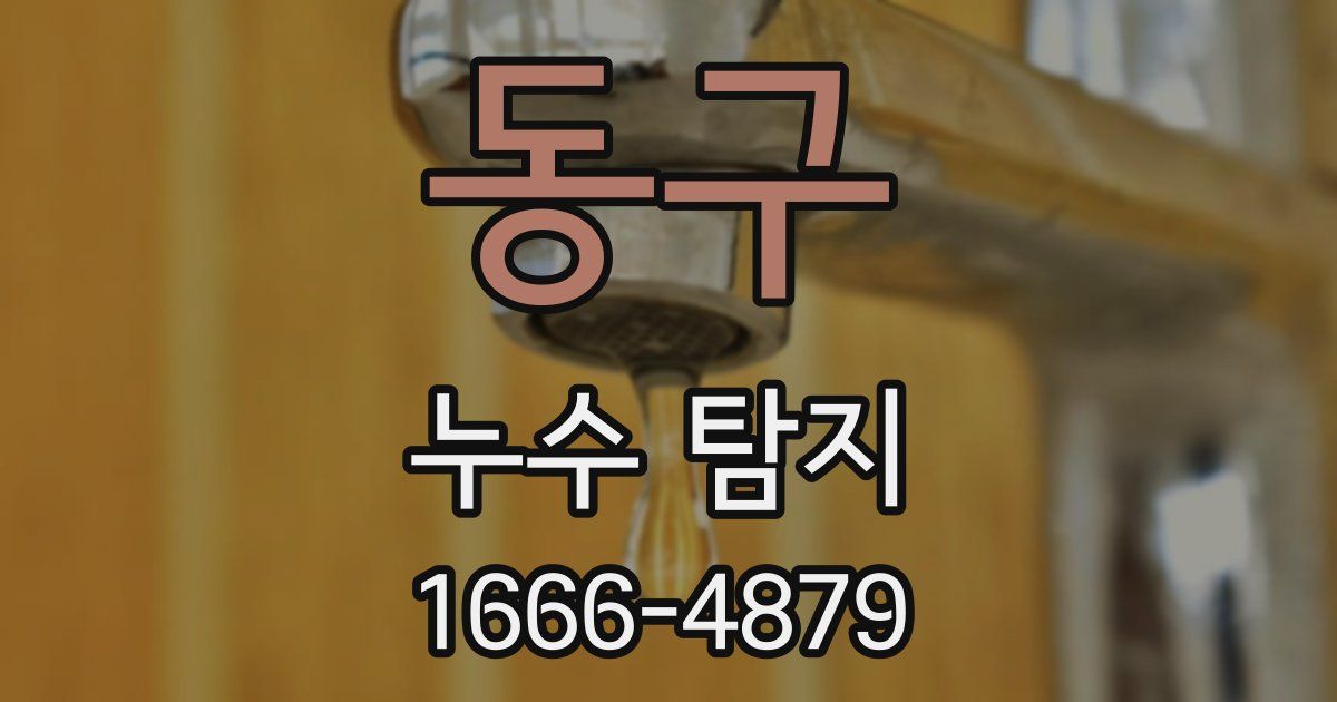 동구 누수 탐지