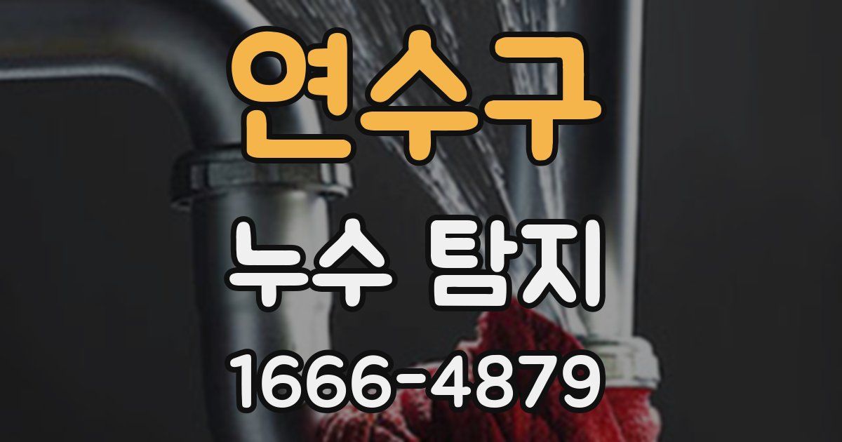 연수구 누수 탐지