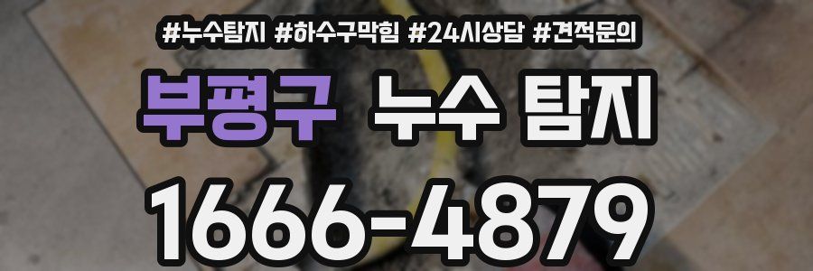 부평구 누수 탐지