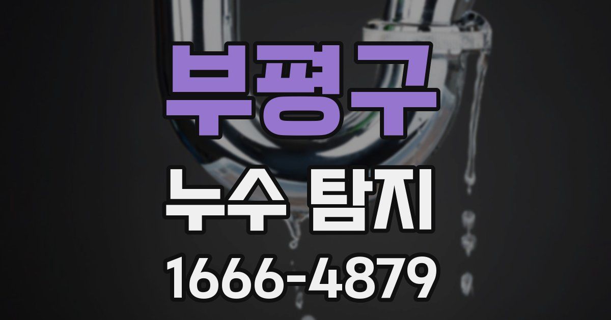 부평구 누수 탐지