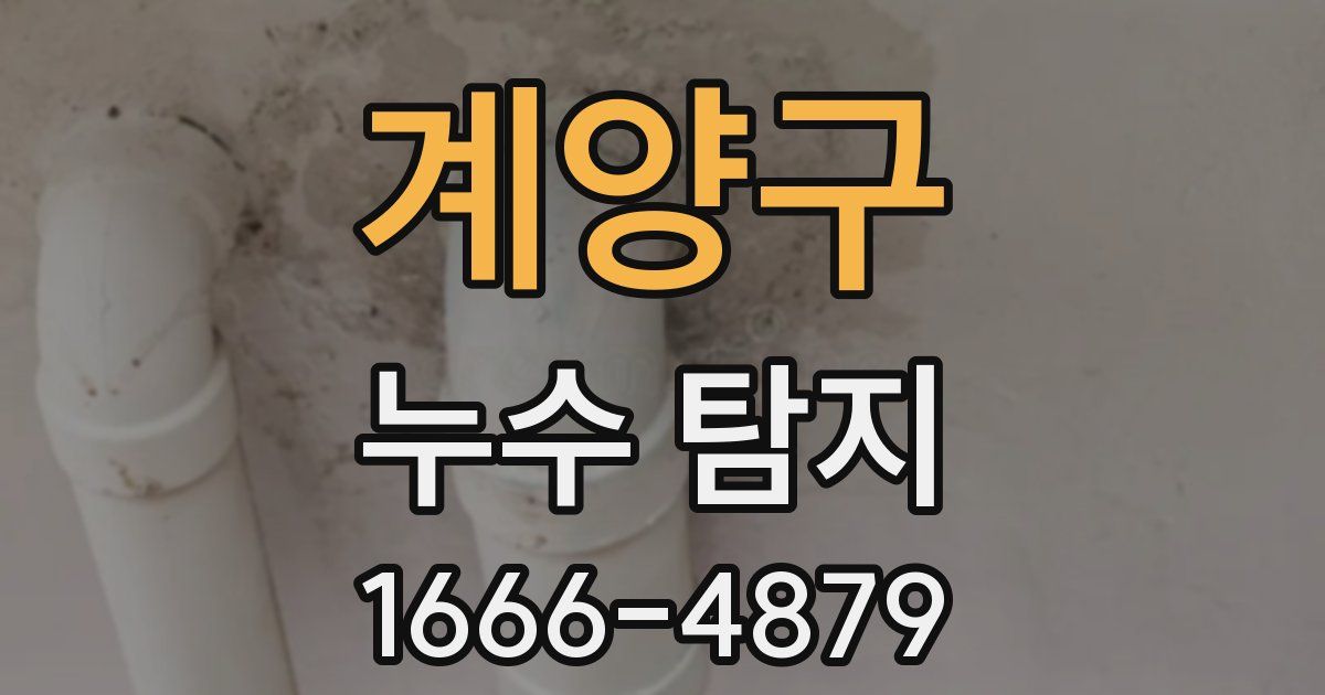 계양구 누수 탐지