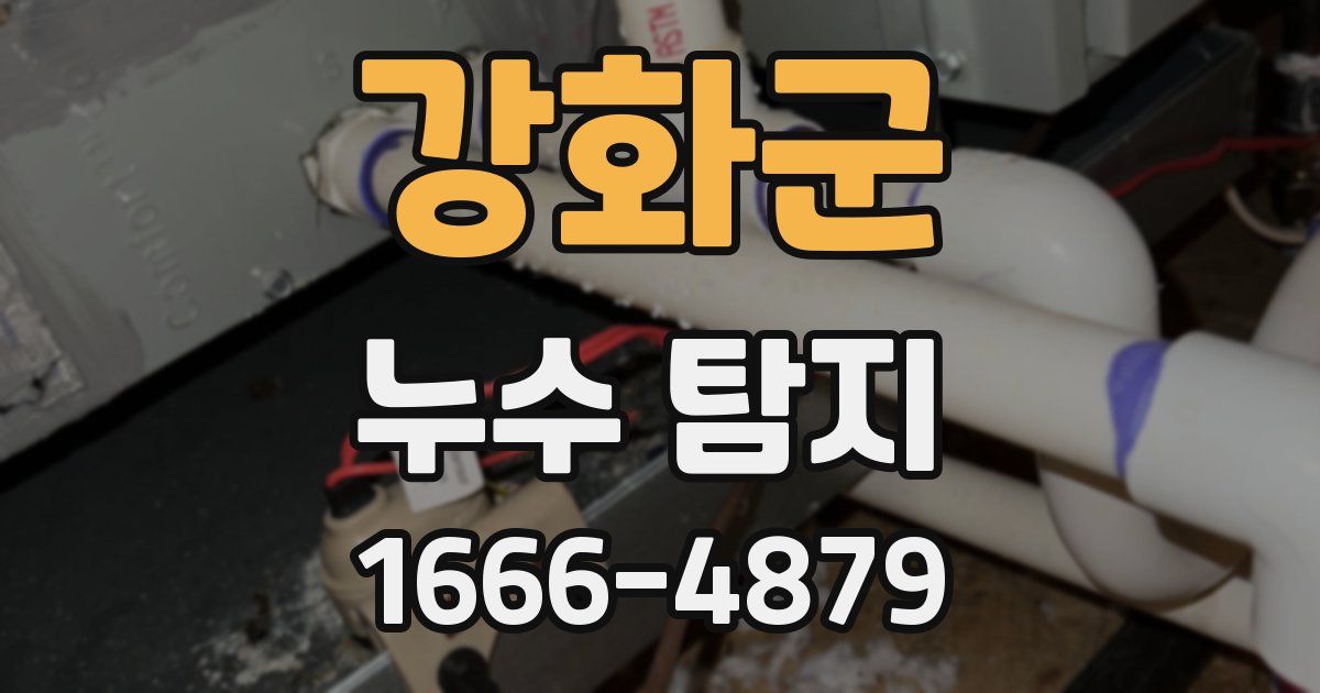 강화군 누수 탐지