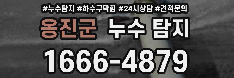 옹진군 누수 탐지