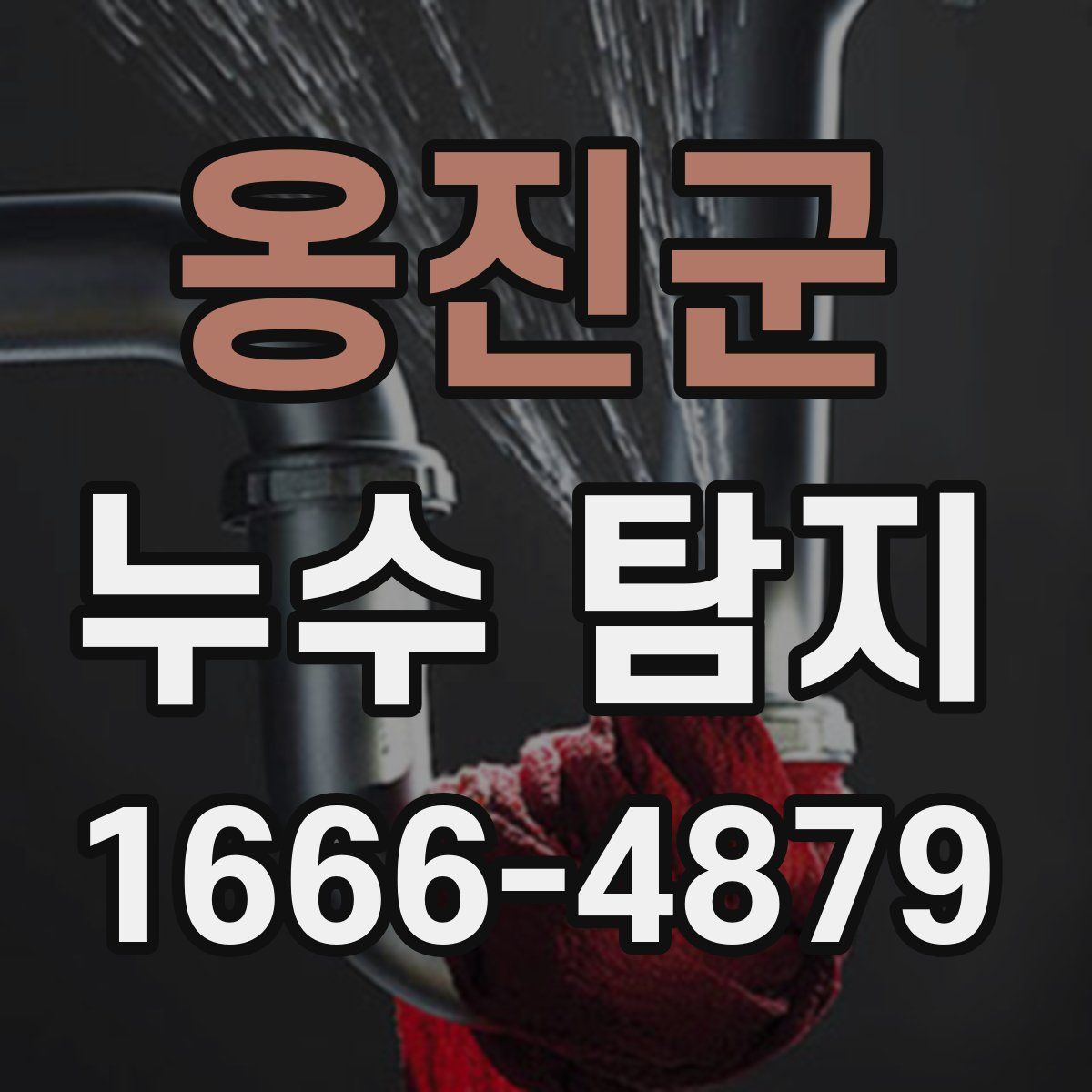 옹진군 누수 탐지