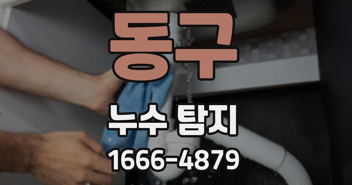 동구 누수 탐지