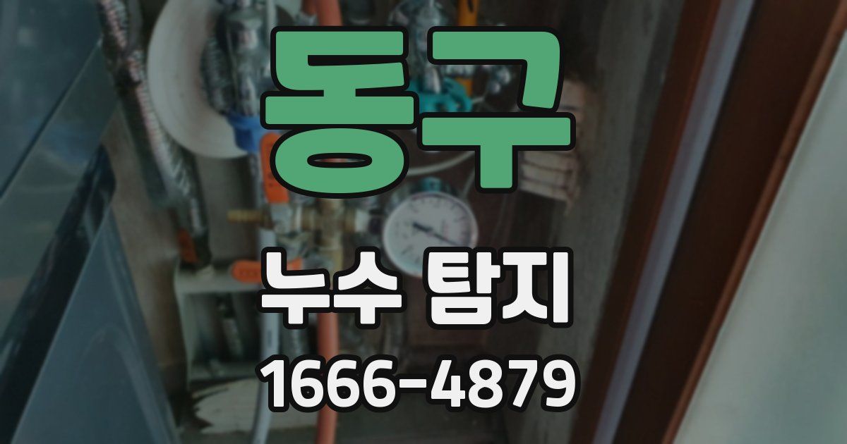 동구 누수 탐지