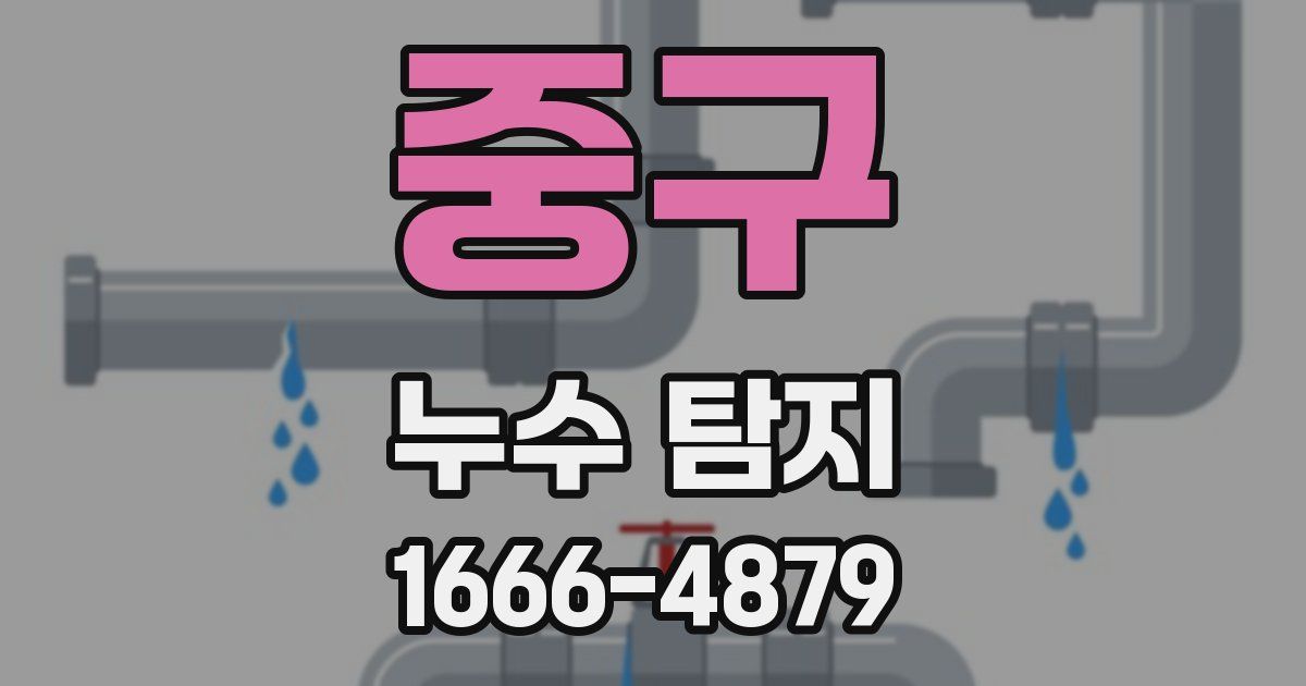 중구 누수 탐지