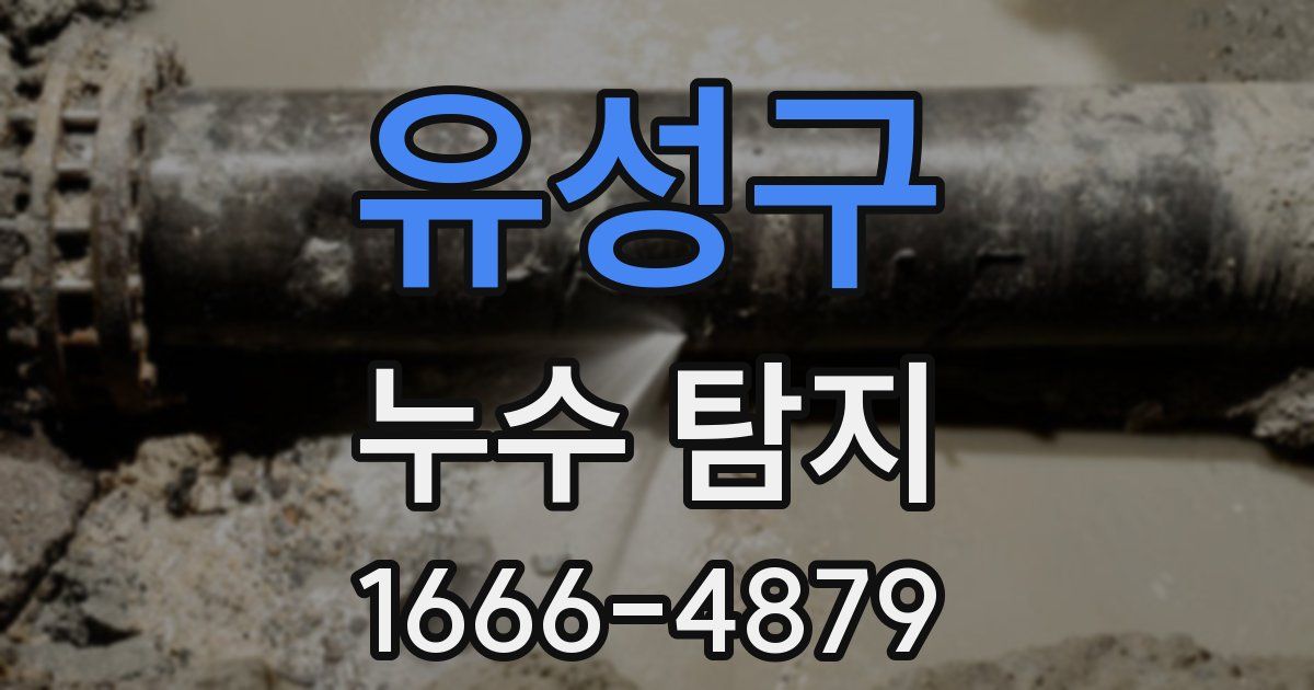유성구 누수 탐지