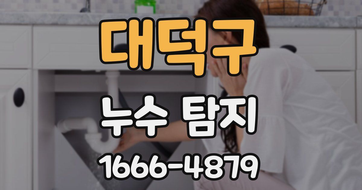 대덕구 누수 탐지