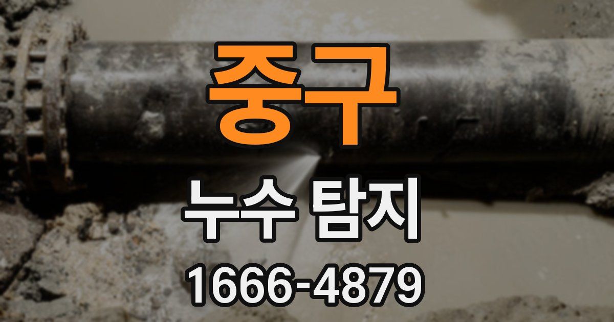중구 누수 탐지