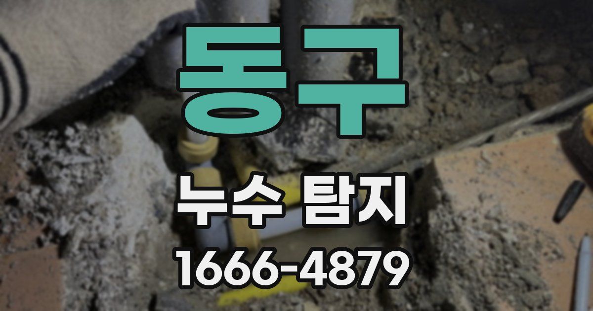 동구 누수 탐지