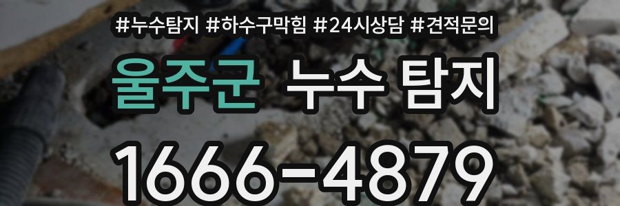 울주군 누수 탐지