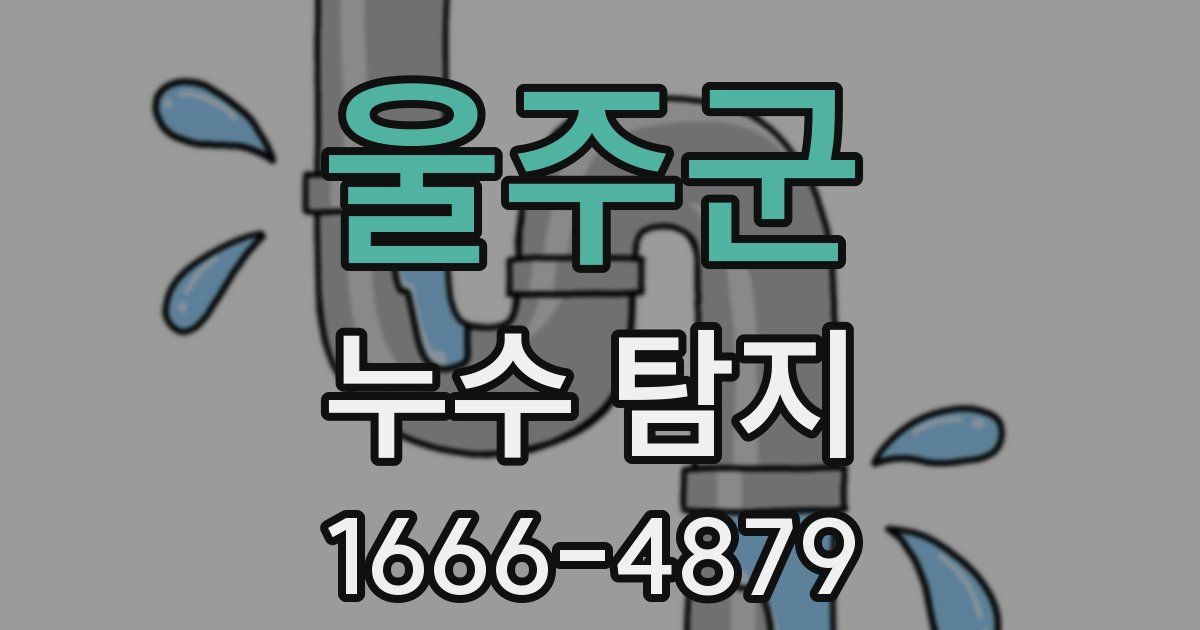 울주군 누수 탐지
