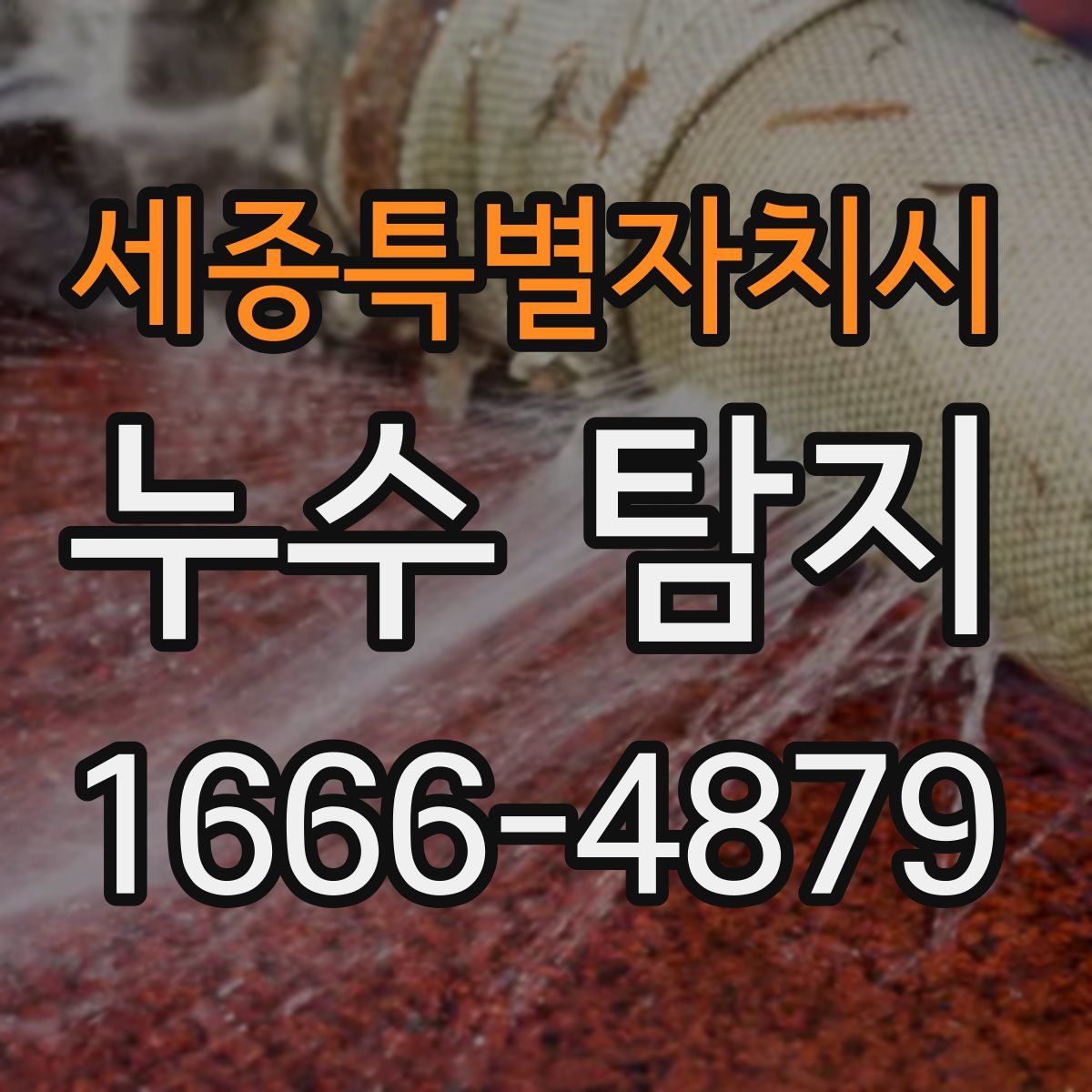 세종특별자치시 누수 탐지