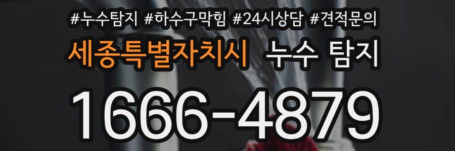 세종특별자치시 누수 탐지
