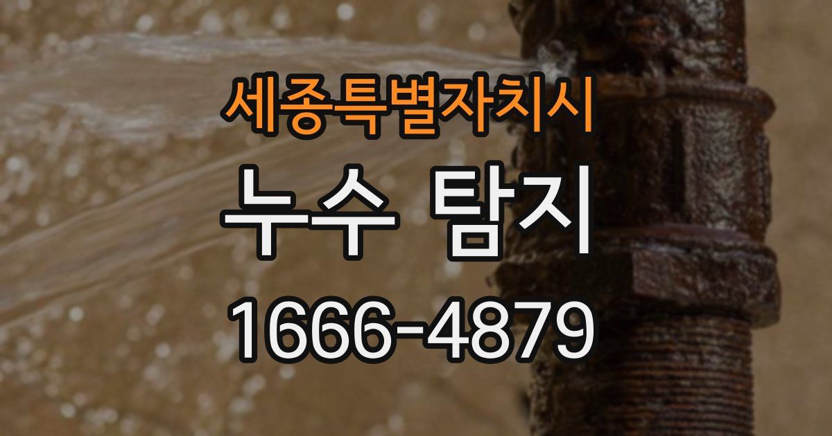 세종특별자치시 누수 탐지