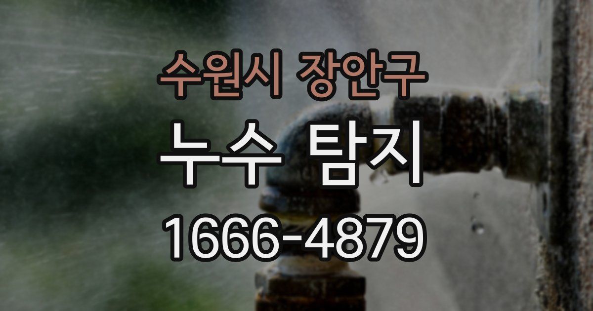 수원시 장안구 누수 탐지