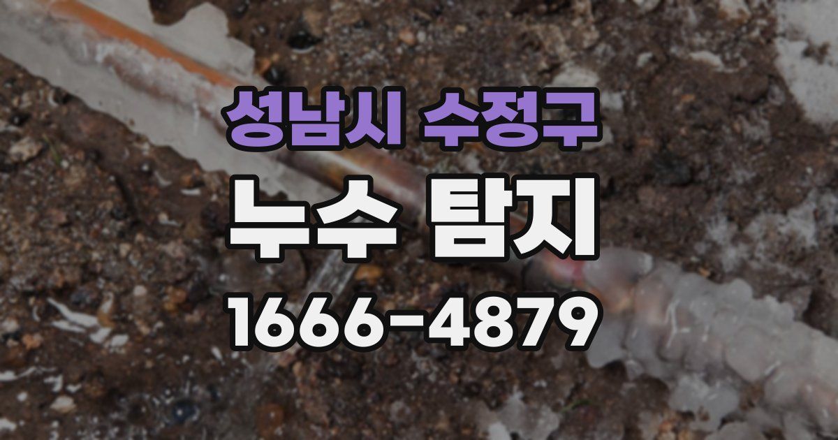 성남시 수정구 누수 탐지