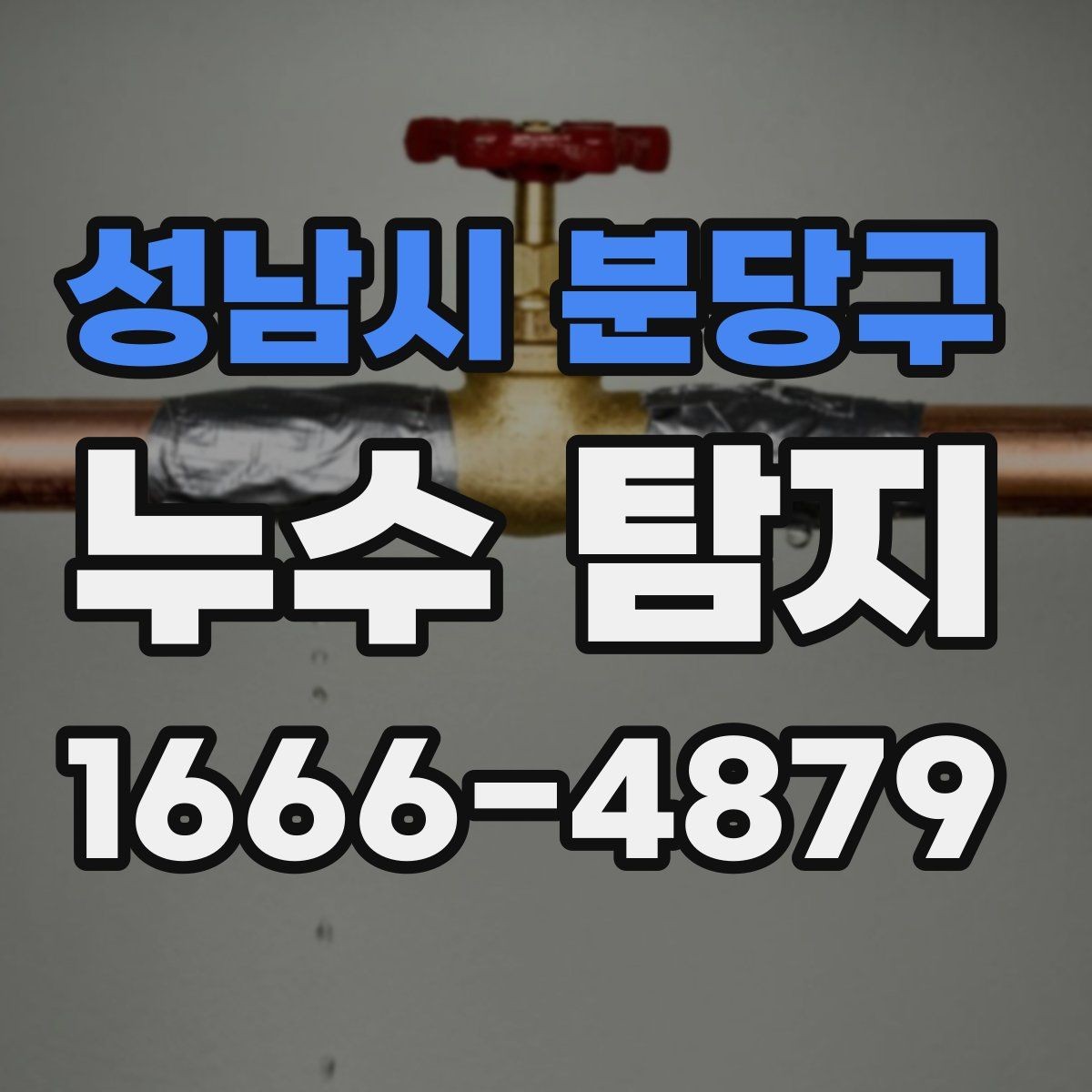 성남시 분당구 누수 탐지 서비스 요청이 많은 대표 상황