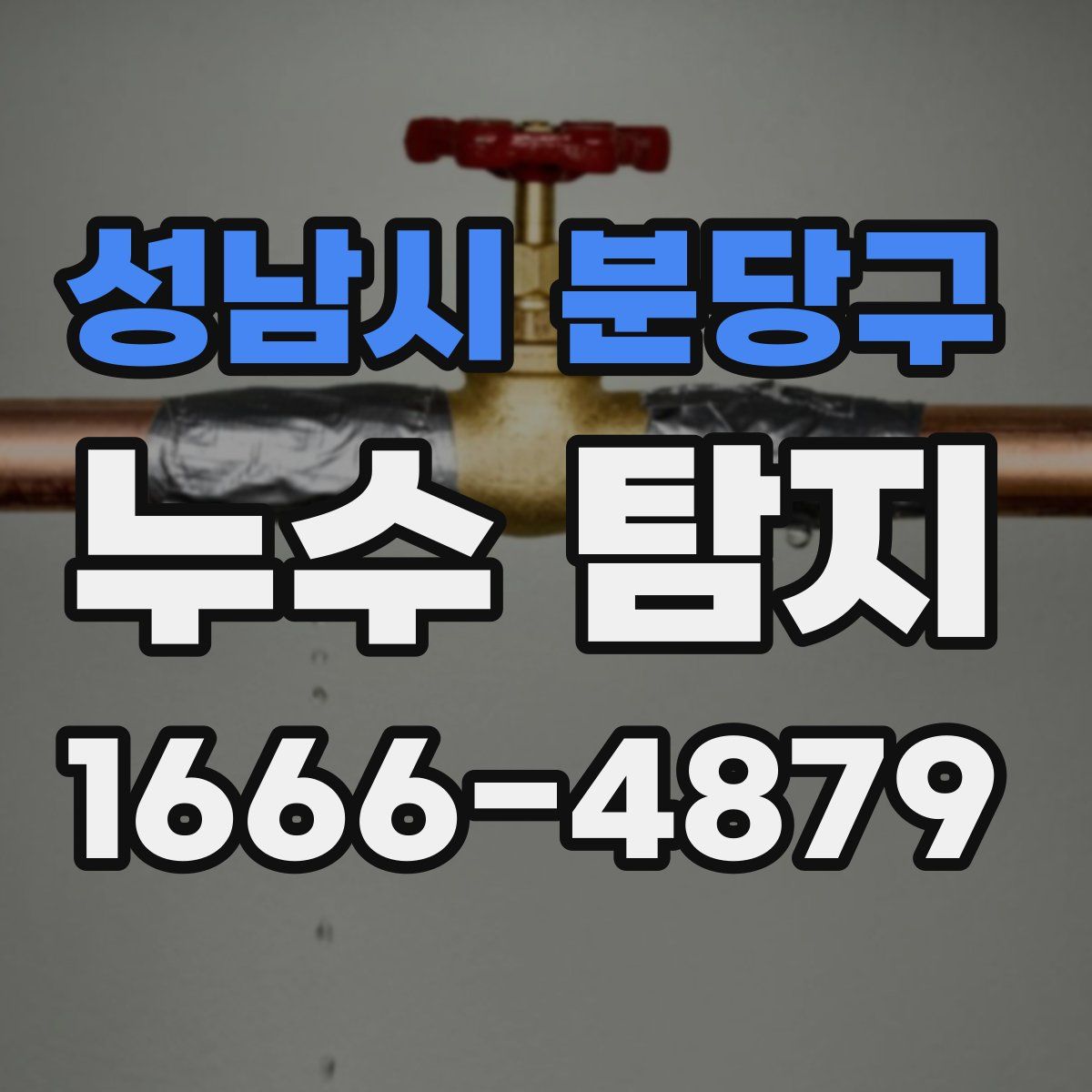 성남시 분당구 누수 탐지