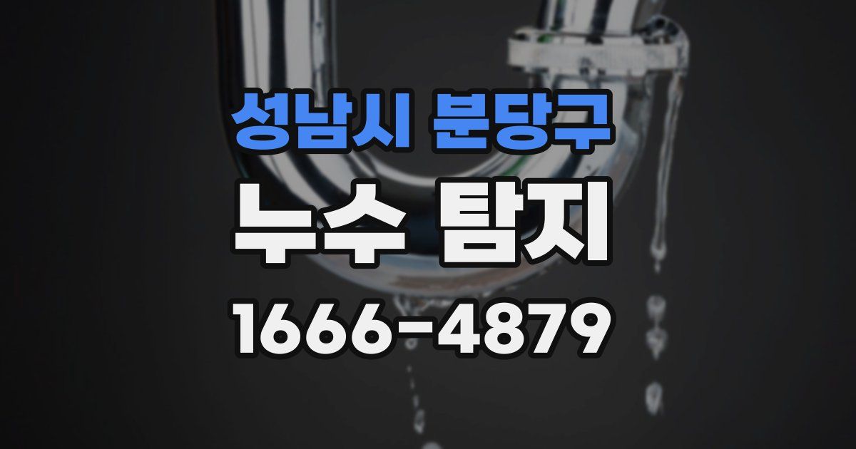 성남시 분당구 누수 탐지