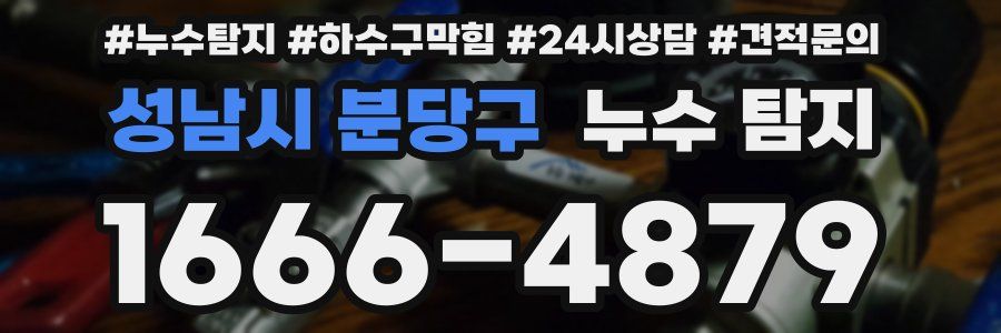 성남시 분당구 누수 탐지