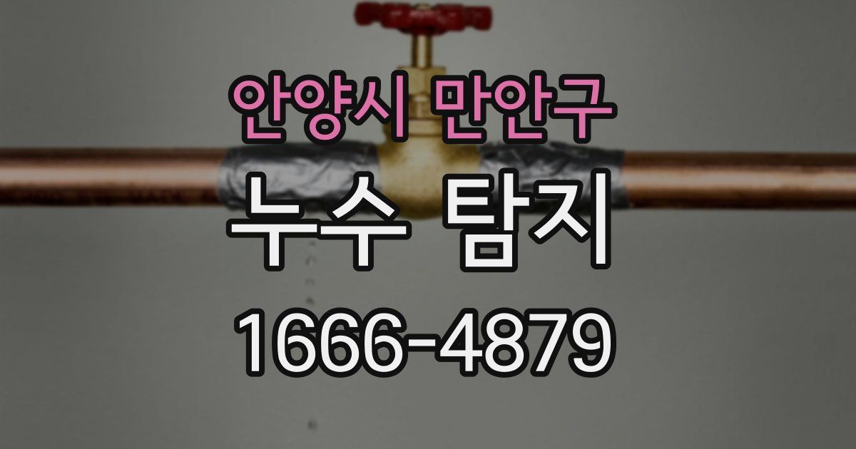 안양시 만안구 누수 탐지