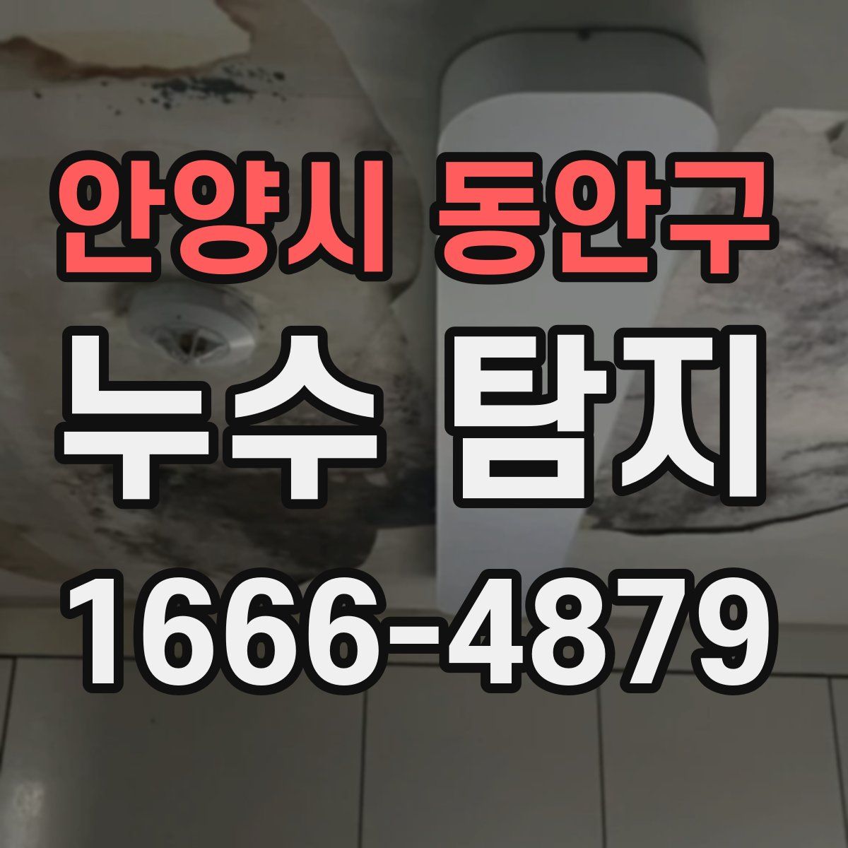 안양시 동안구 누수 탐지