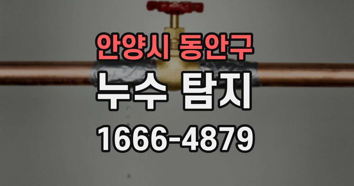 안양시 동안구 누수 탐지