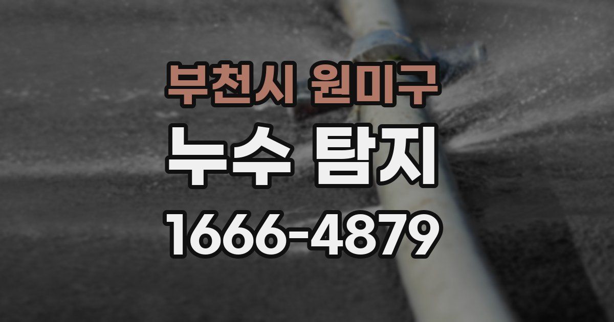 부천시 원미구 누수 탐지