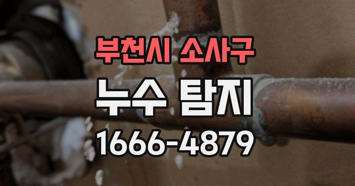 부천시 소사구 누수 탐지