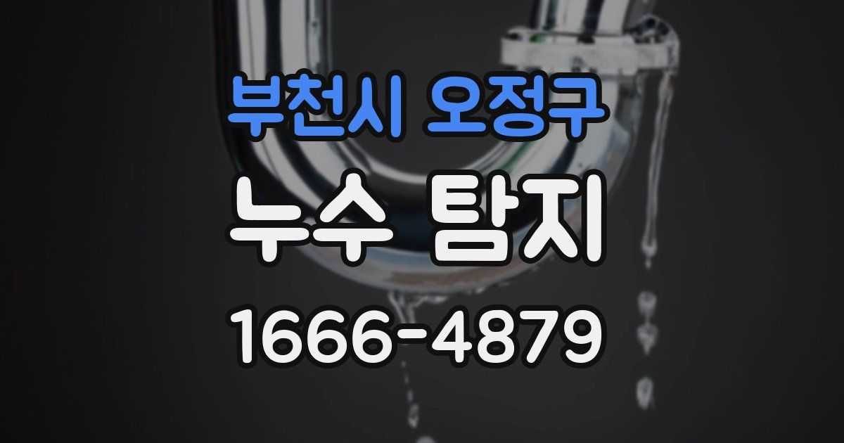 부천시 오정구 누수 탐지