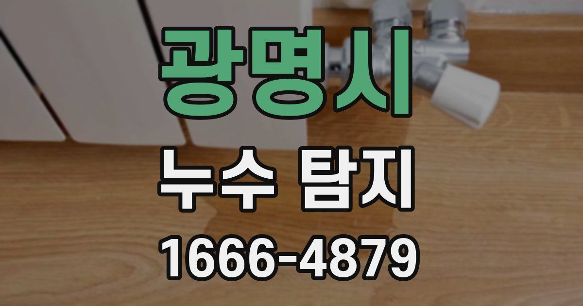 광명시 누수 탐지