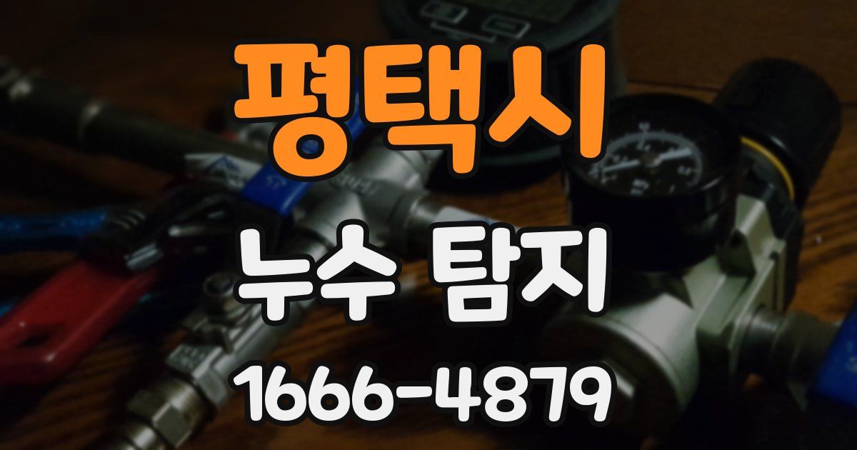 평택시 누수 탐지