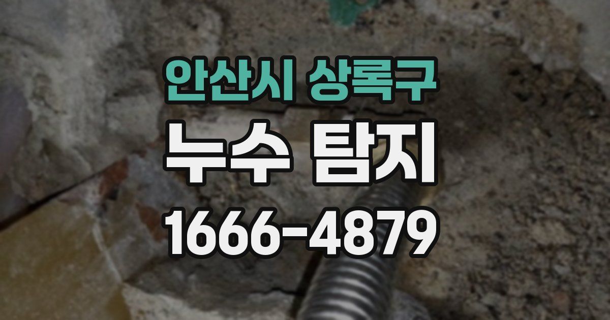 안산시 상록구 누수 탐지