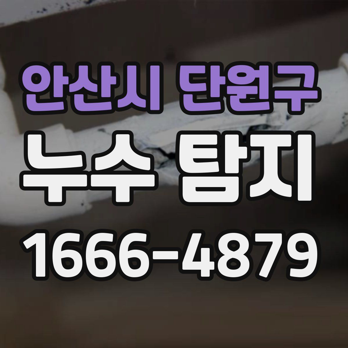 안산시 단원구 누수 탐지