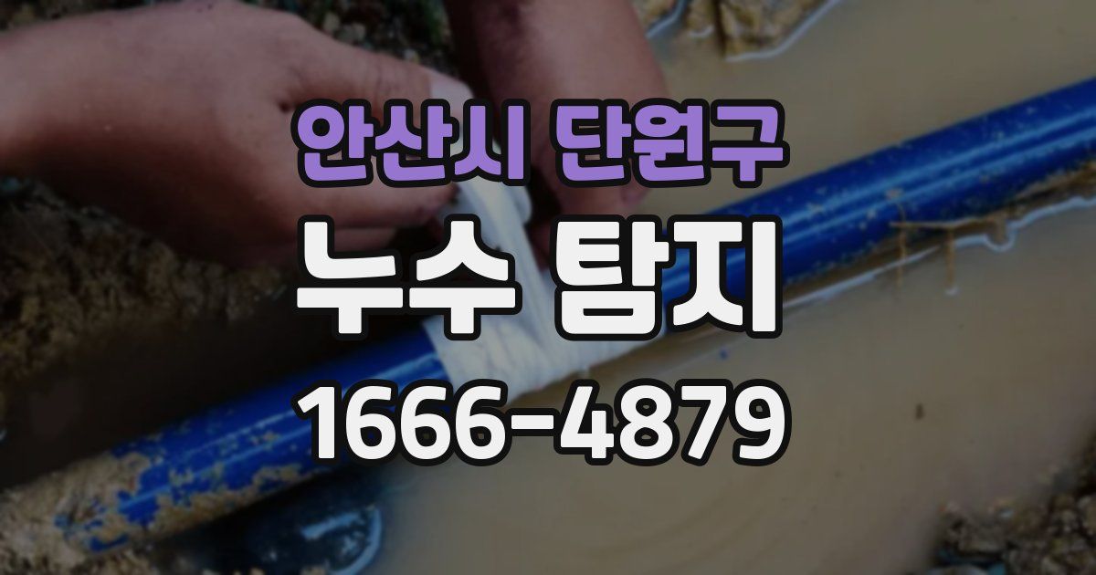 안산시 단원구 누수 탐지