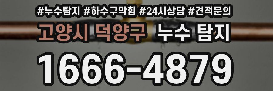 고양시 덕양구 누수 탐지