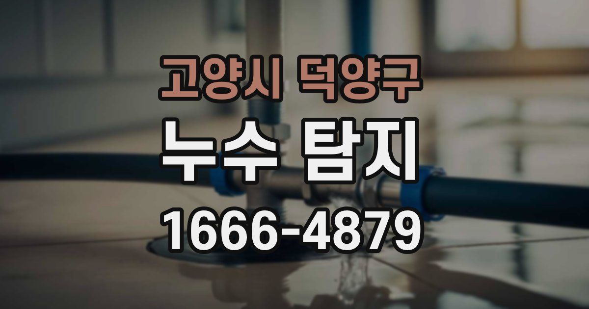 고양시 덕양구 누수 탐지