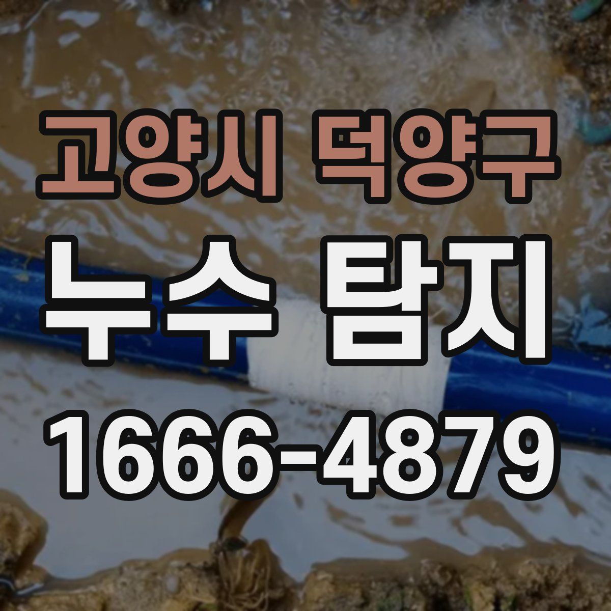 고양시 덕양구 누수 탐지