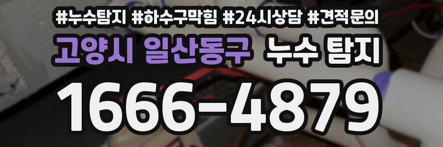 고양시 일산동구 누수 탐지