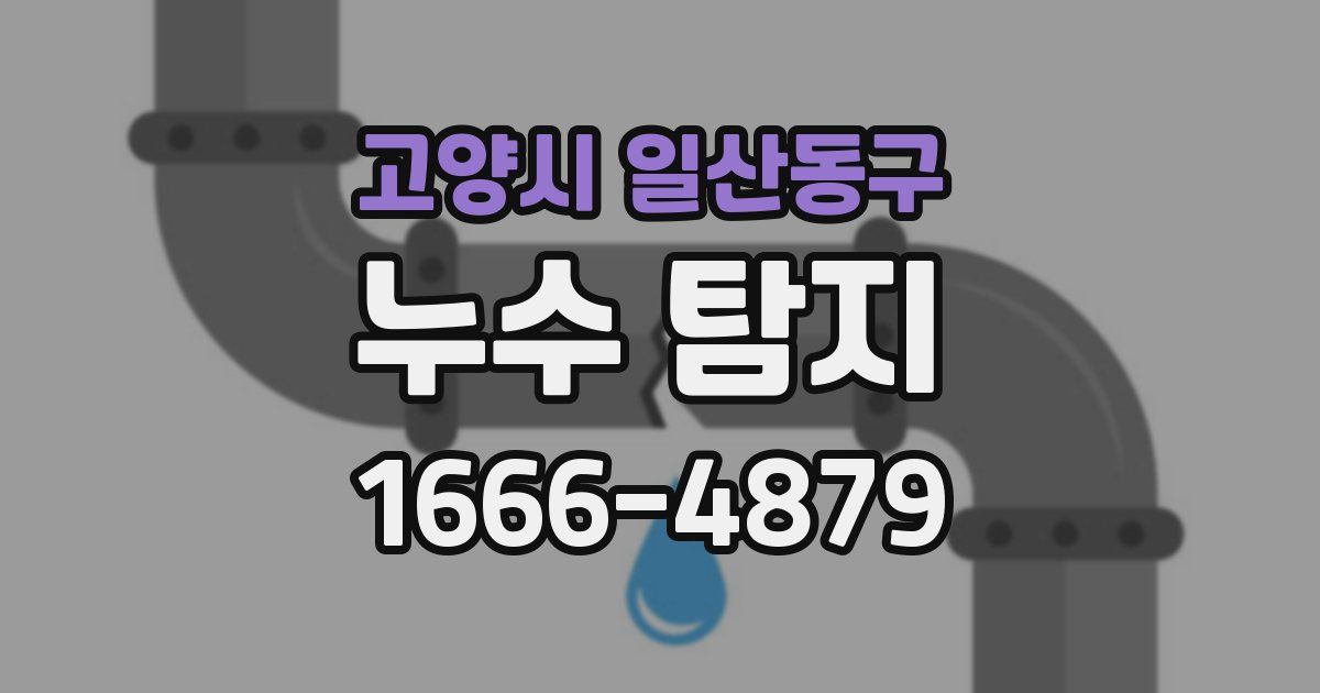 고양시 일산동구 누수 탐지