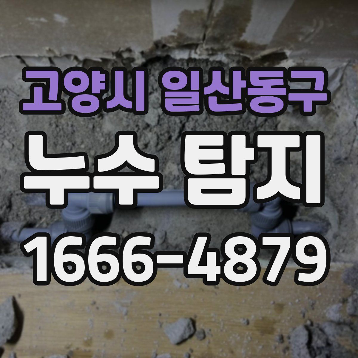 고양시 일산동구 누수 탐지