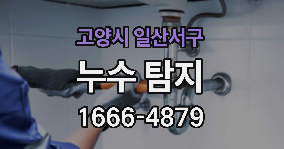 고양시 일산서구 누수 탐지