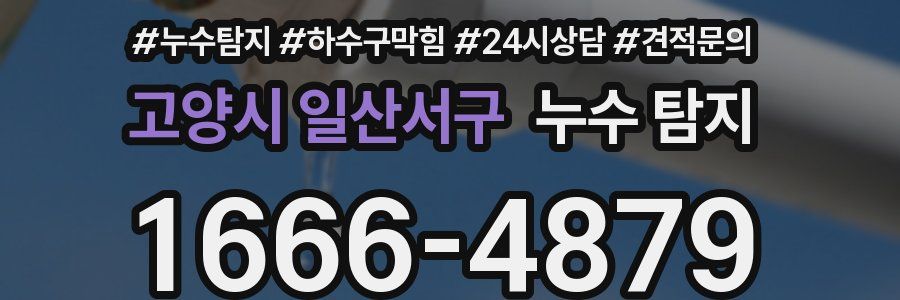 고양시 일산서구 누수 탐지
