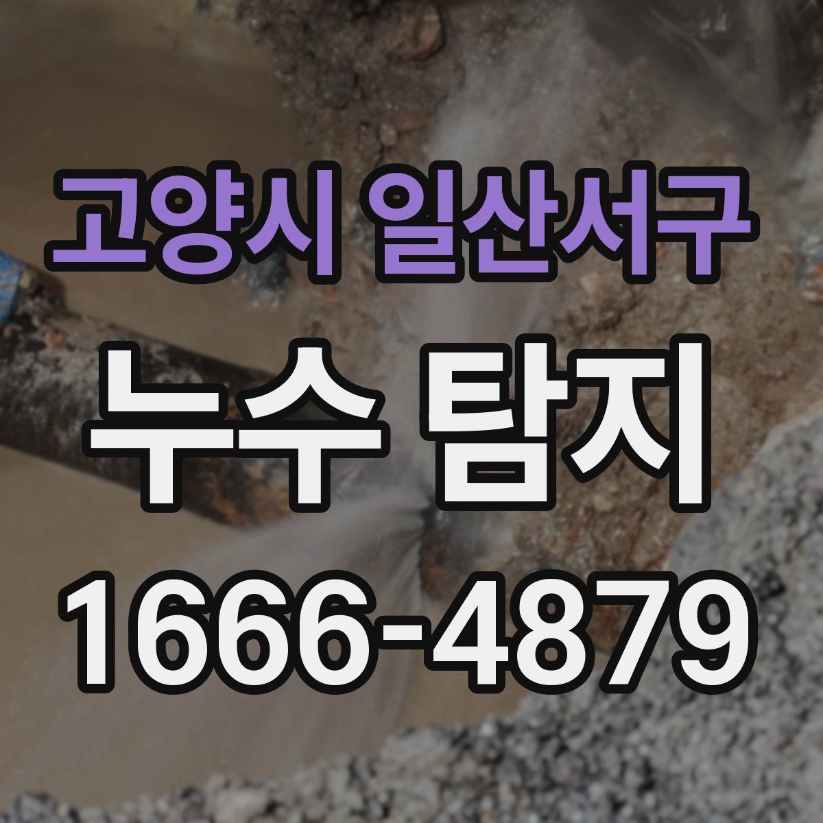 고양시 일산서구 누수 탐지